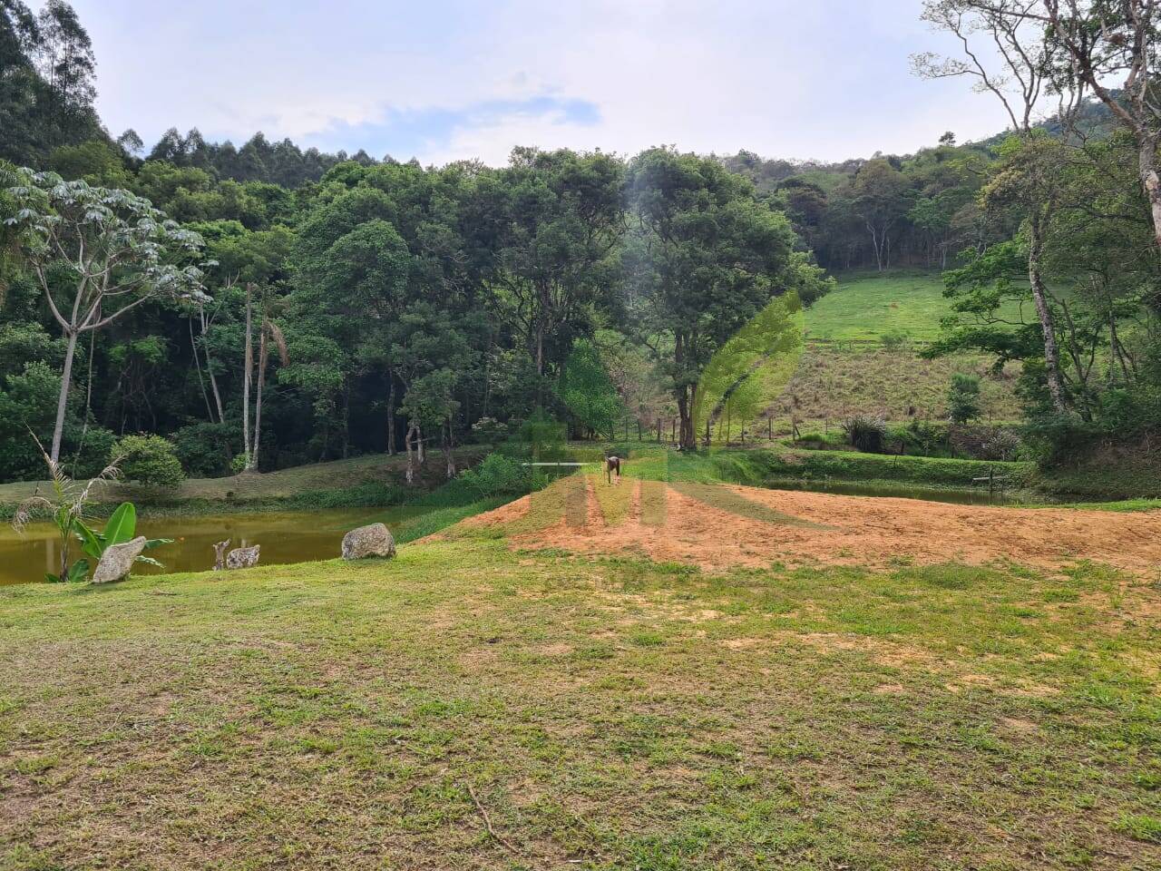 Sítio, 4 quartos, 3 hectares - Foto 32