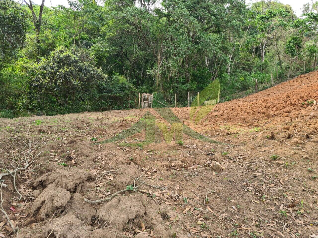 Sítio, 4 quartos, 3 hectares - Foto 35