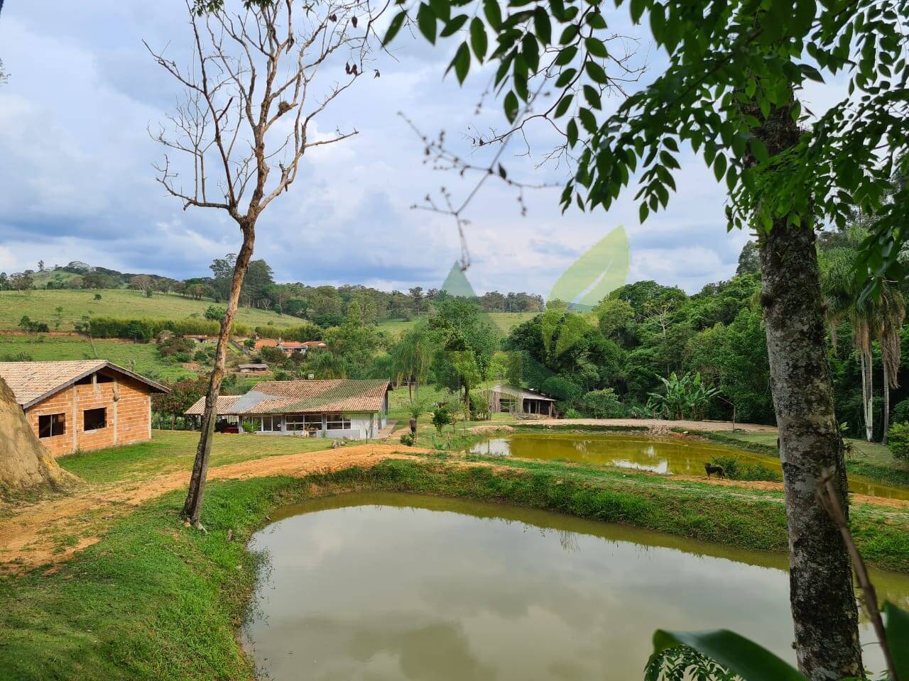 Sítio, 4 quartos, 3 hectares - Foto 1