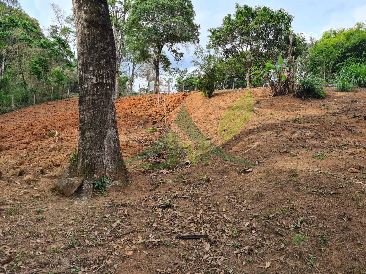 Sítio, 4 quartos, 3 hectares - Foto 36
