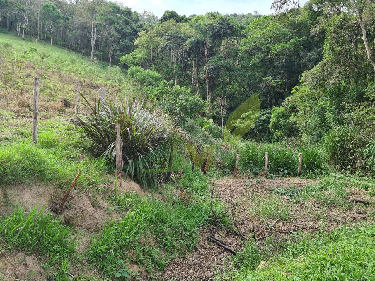 Sítio, 4 quartos, 3 hectares - Foto 37