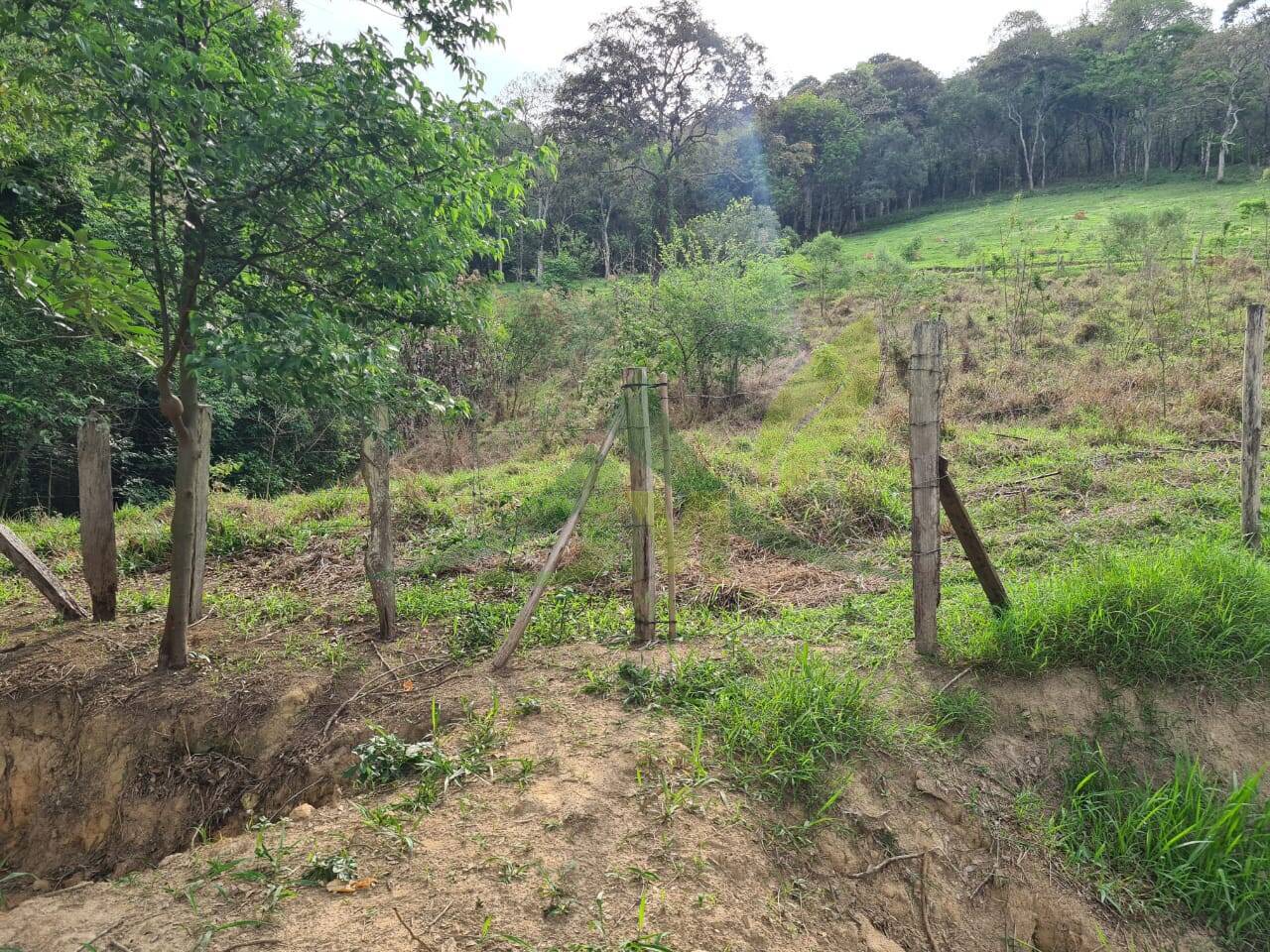Sítio, 4 quartos, 3 hectares - Foto 38