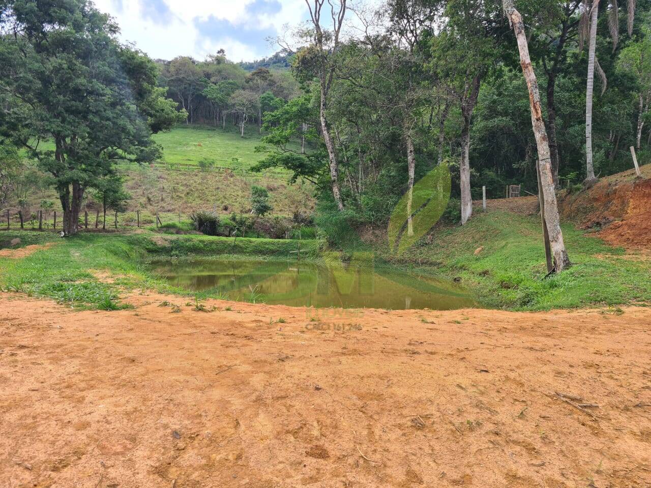Sítio, 4 quartos, 3 hectares - Foto 42