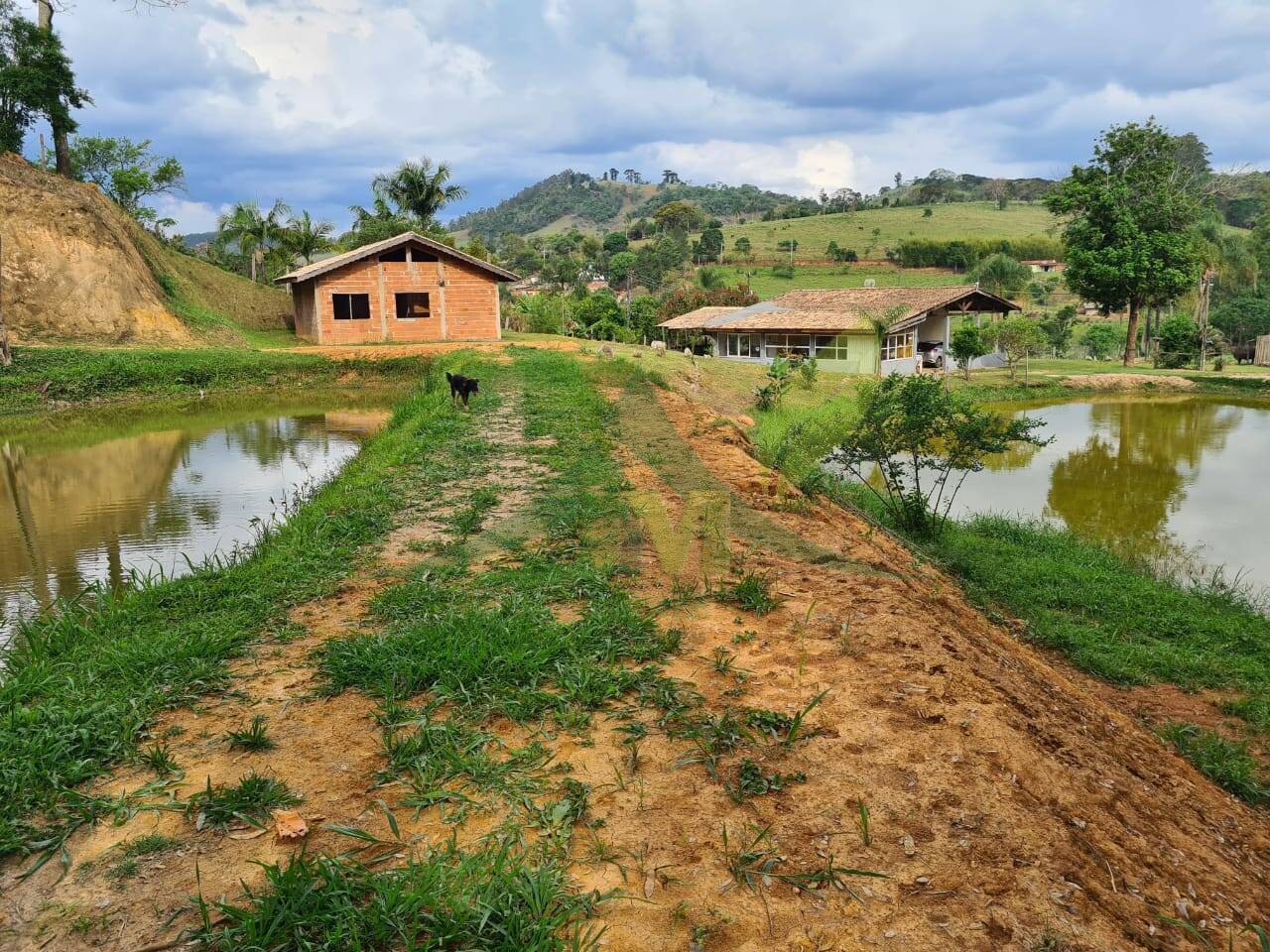 Sítio, 4 quartos, 3 hectares - Foto 43