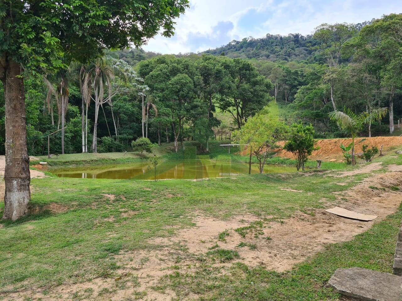 Sítio, 4 quartos, 3 hectares - Foto 45