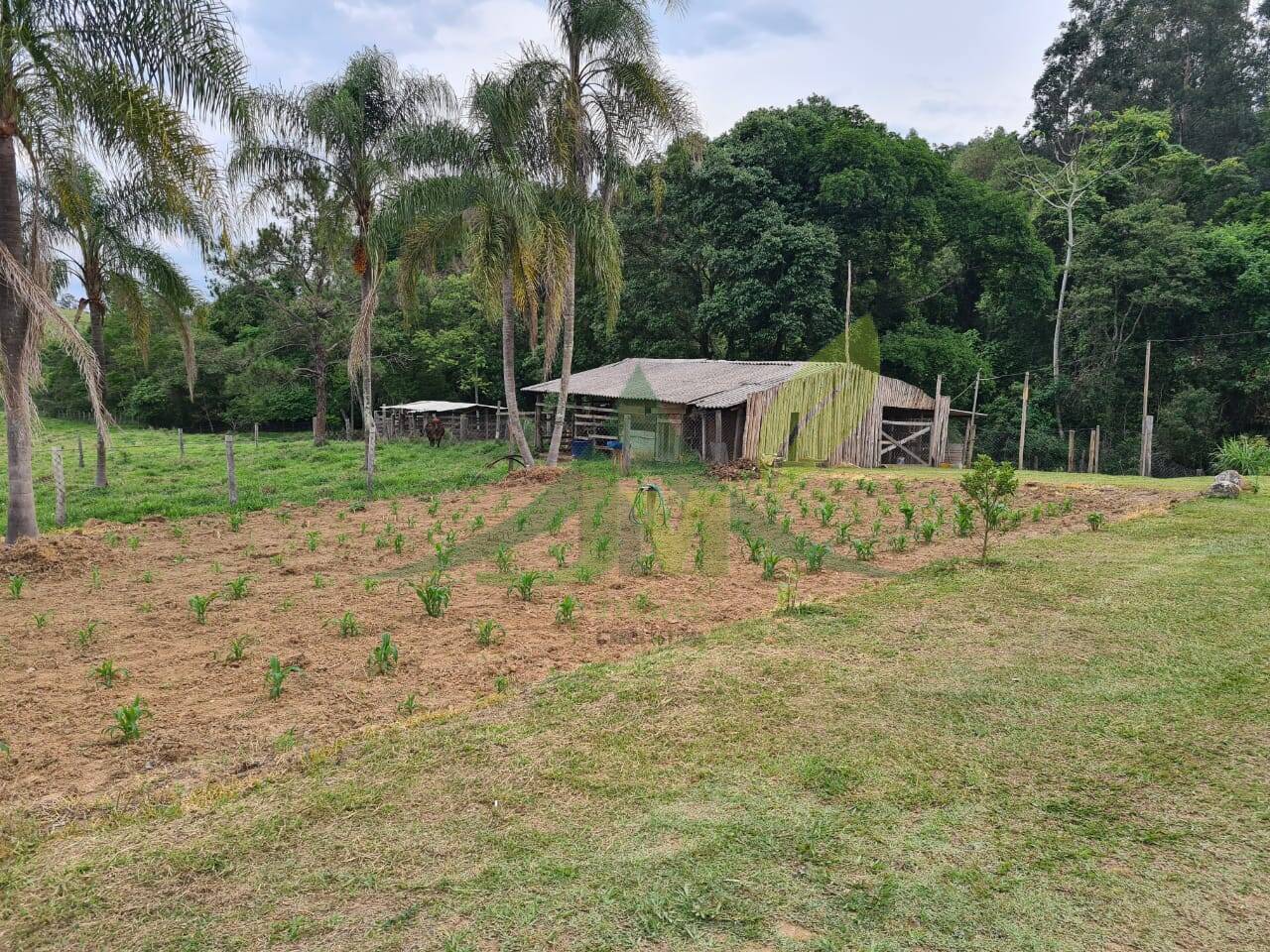 Sítio, 4 quartos, 3 hectares - Foto 46