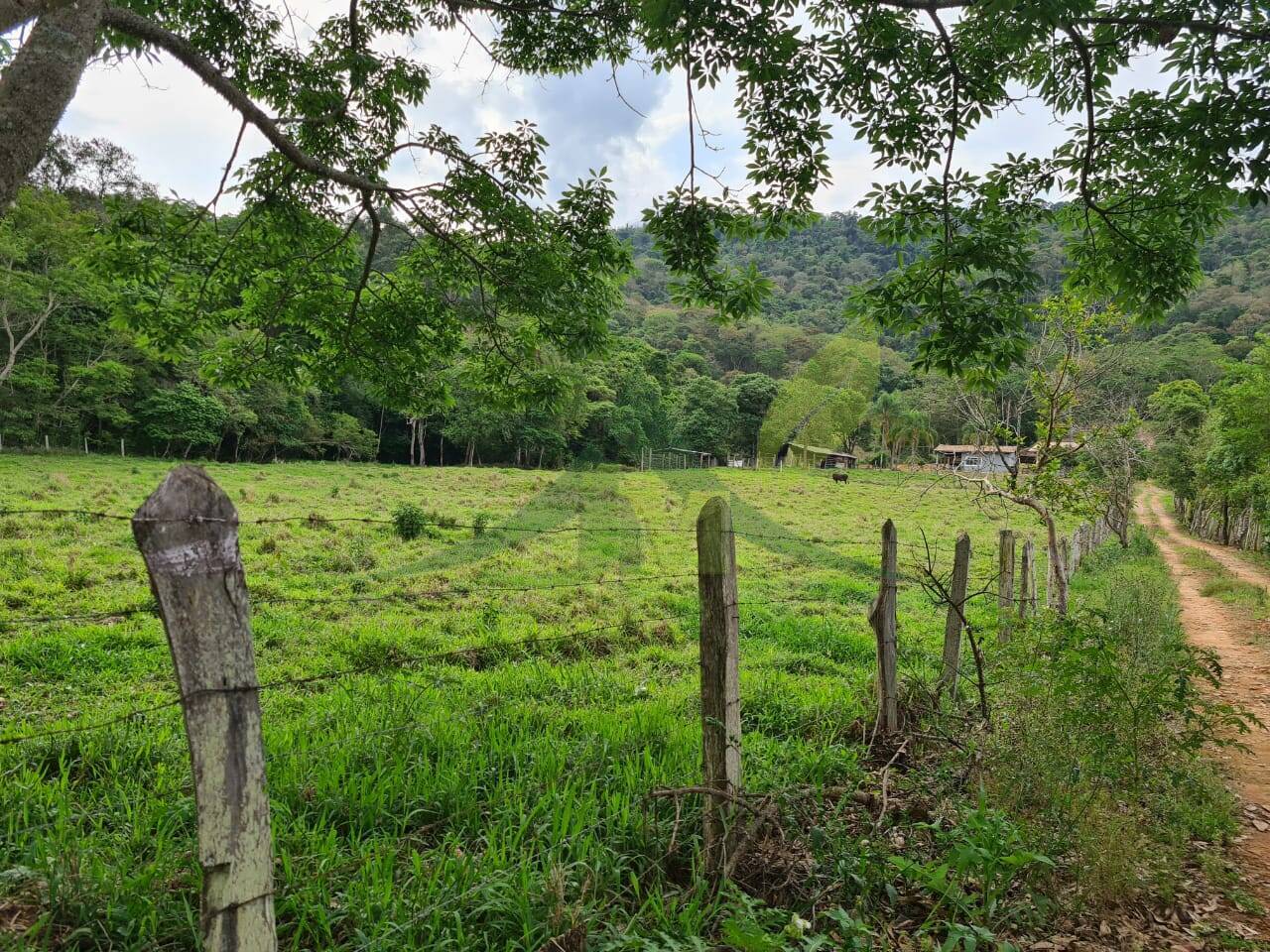 Sítio, 4 quartos, 3 hectares - Foto 50