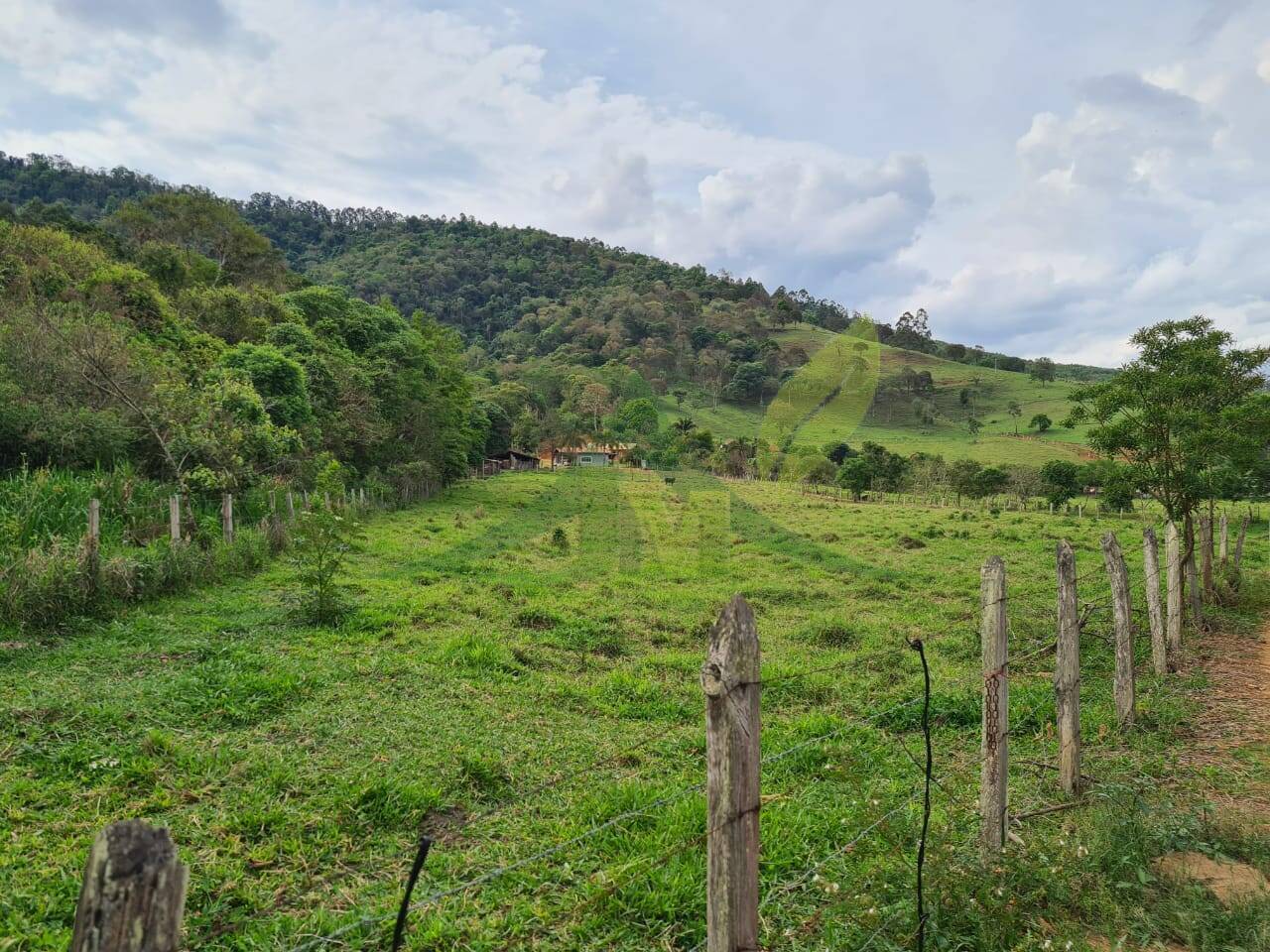 Sítio, 4 quartos, 3 hectares - Foto 53