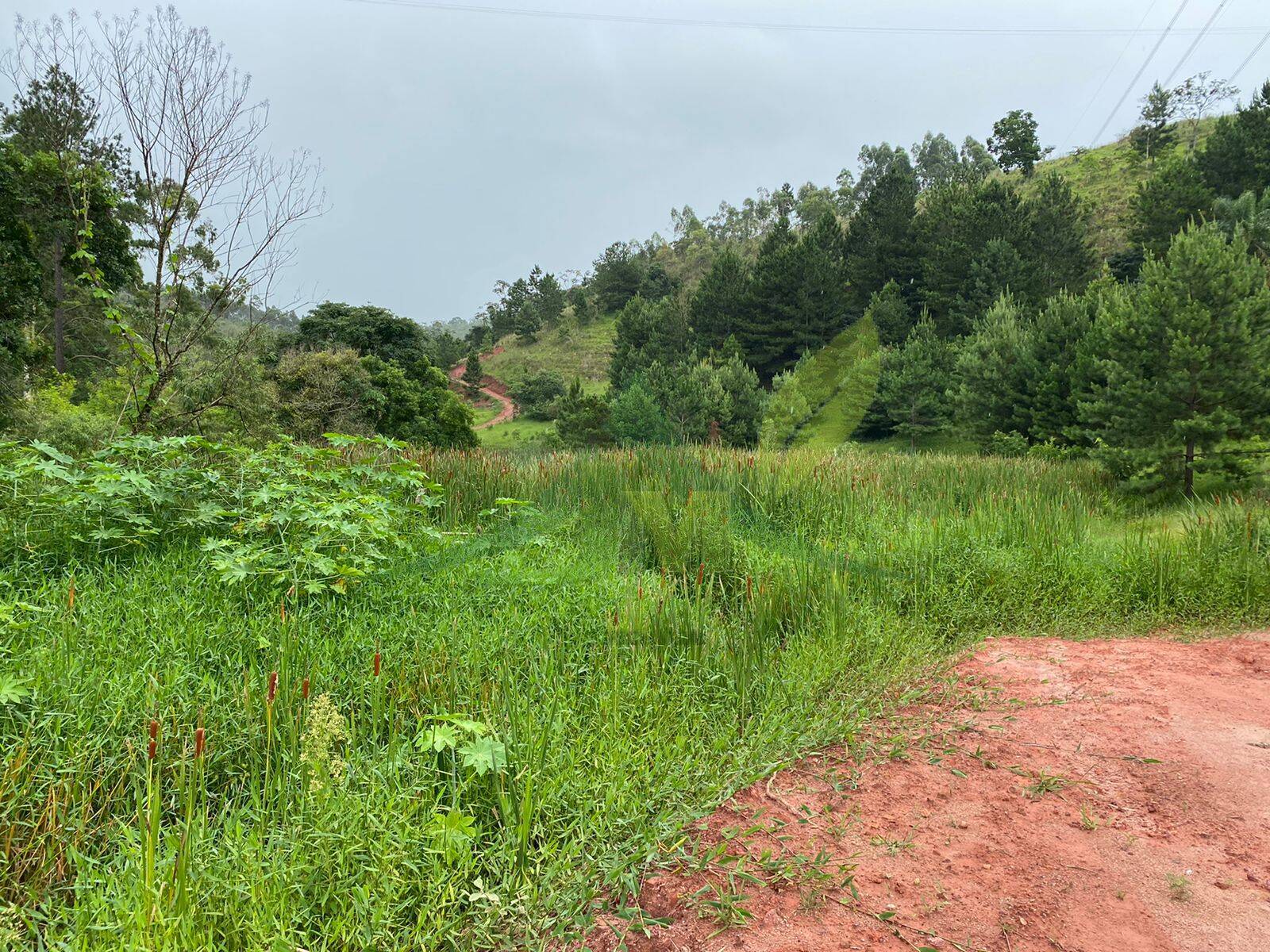 Terreno, 7 hectares - Foto 1