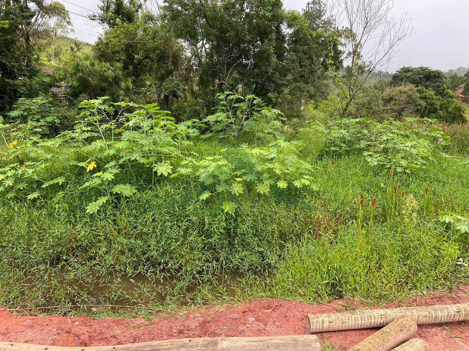 Terreno, 7 hectares - Foto 2