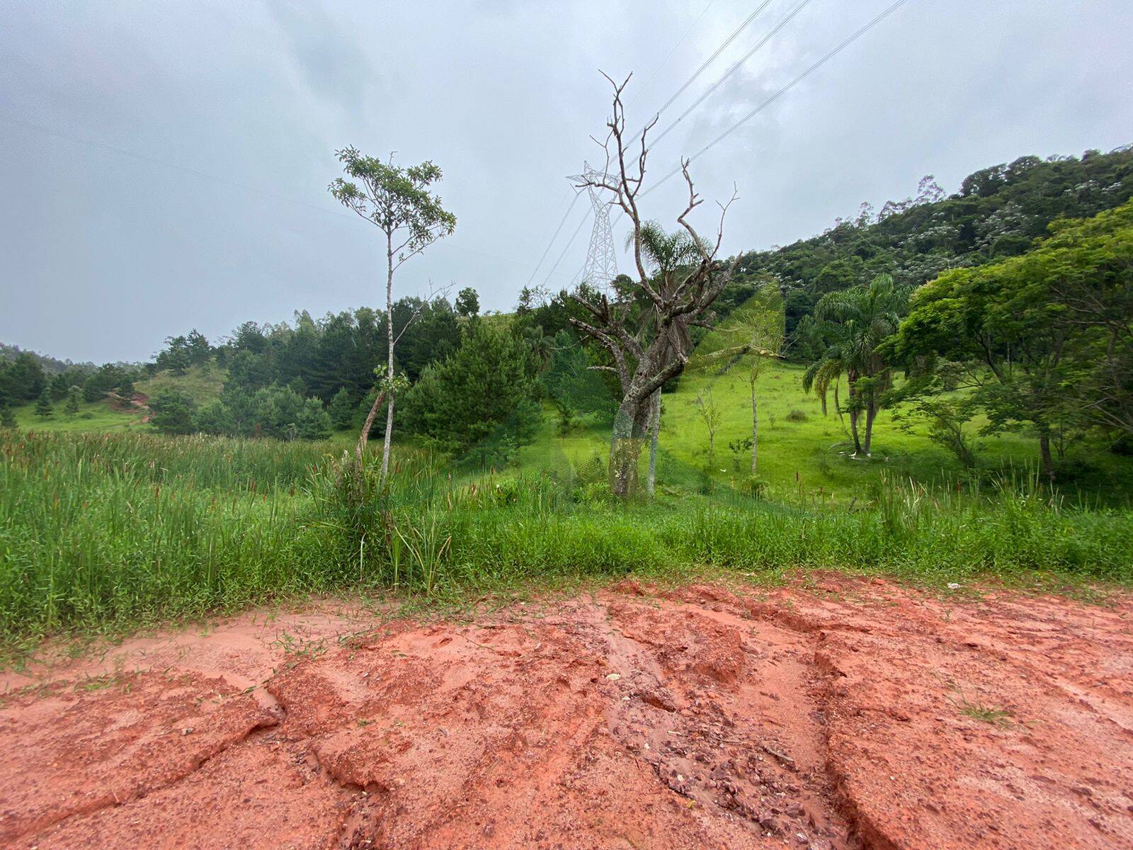 Terreno, 7 hectares - Foto 6