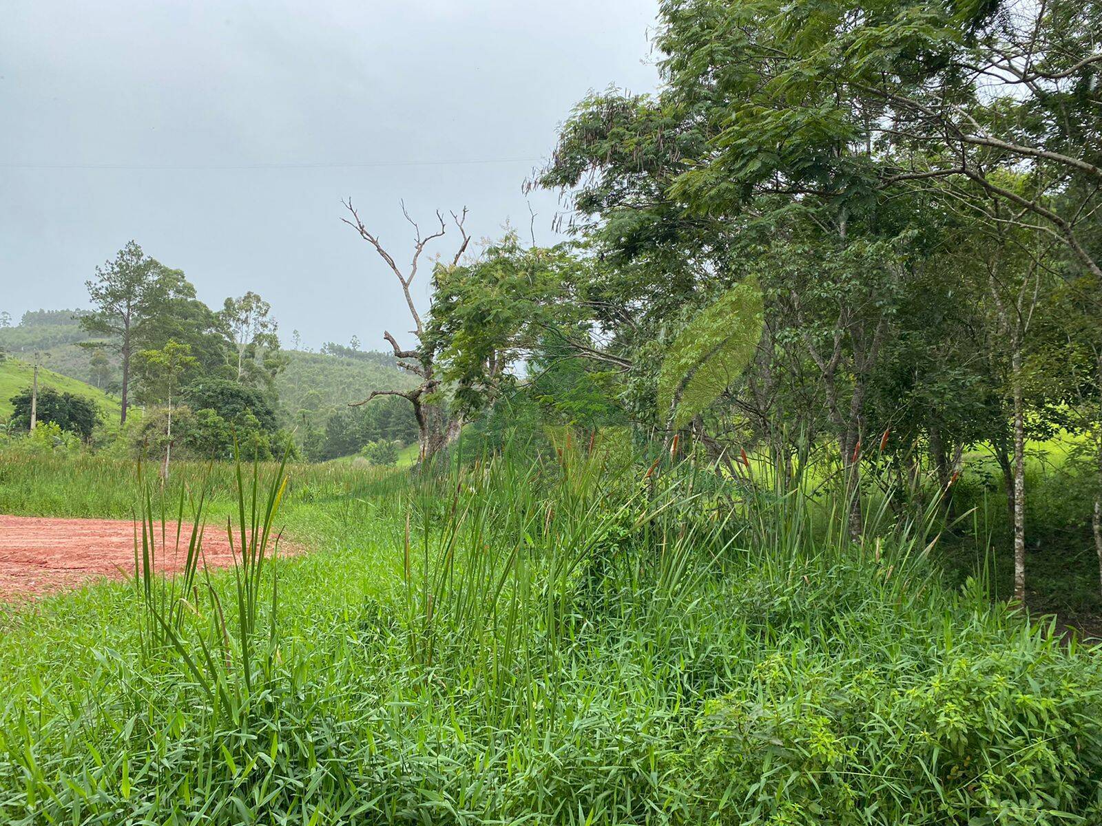 Terreno, 7 hectares - Foto 7