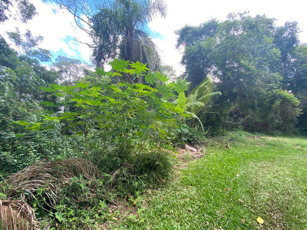 Terreno, 3119 m² - Foto 3