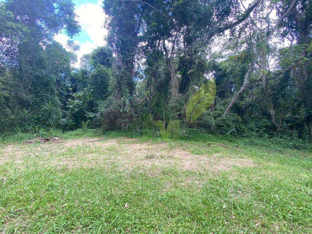 Terreno, 3119 m² - Foto 6