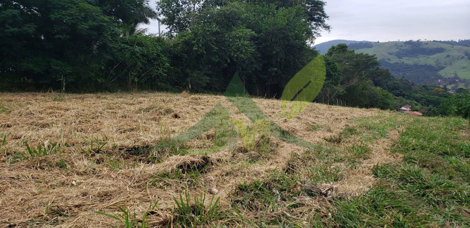 Terreno, 2000 m² - Foto 1
