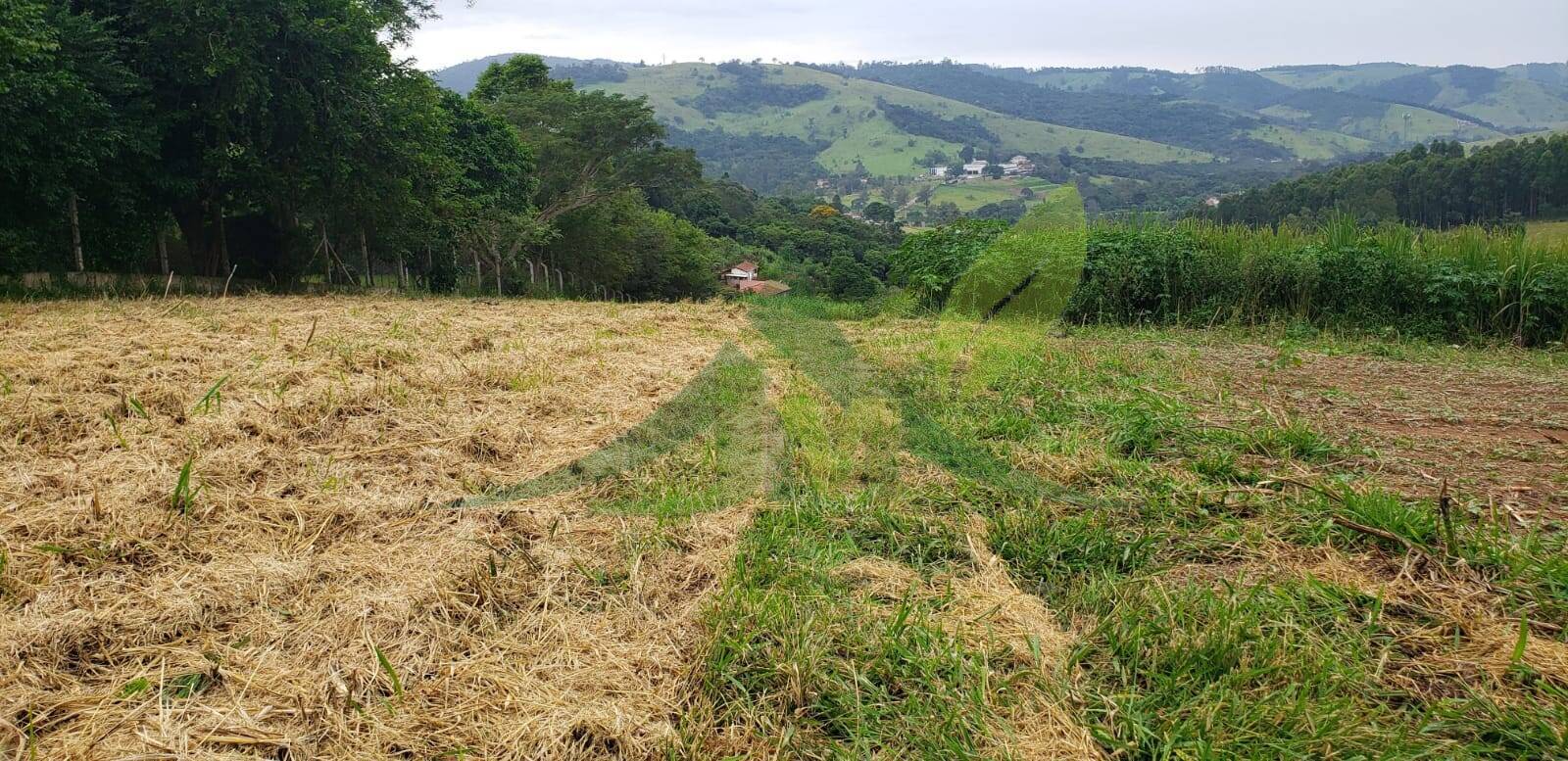 Terreno, 2000 m² - Foto 2