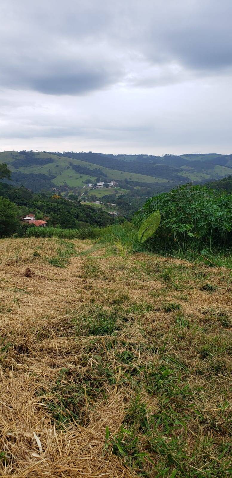 Terreno, 2000 m² - Foto 3