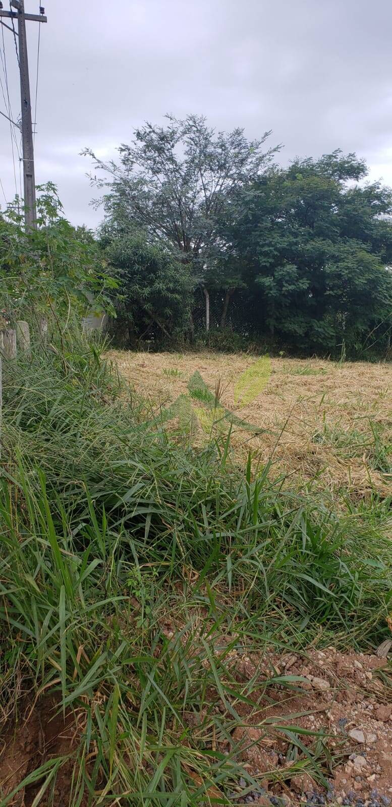 Terreno, 2000 m² - Foto 5