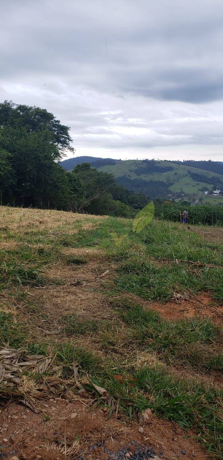 Terreno, 2000 m² - Foto 4