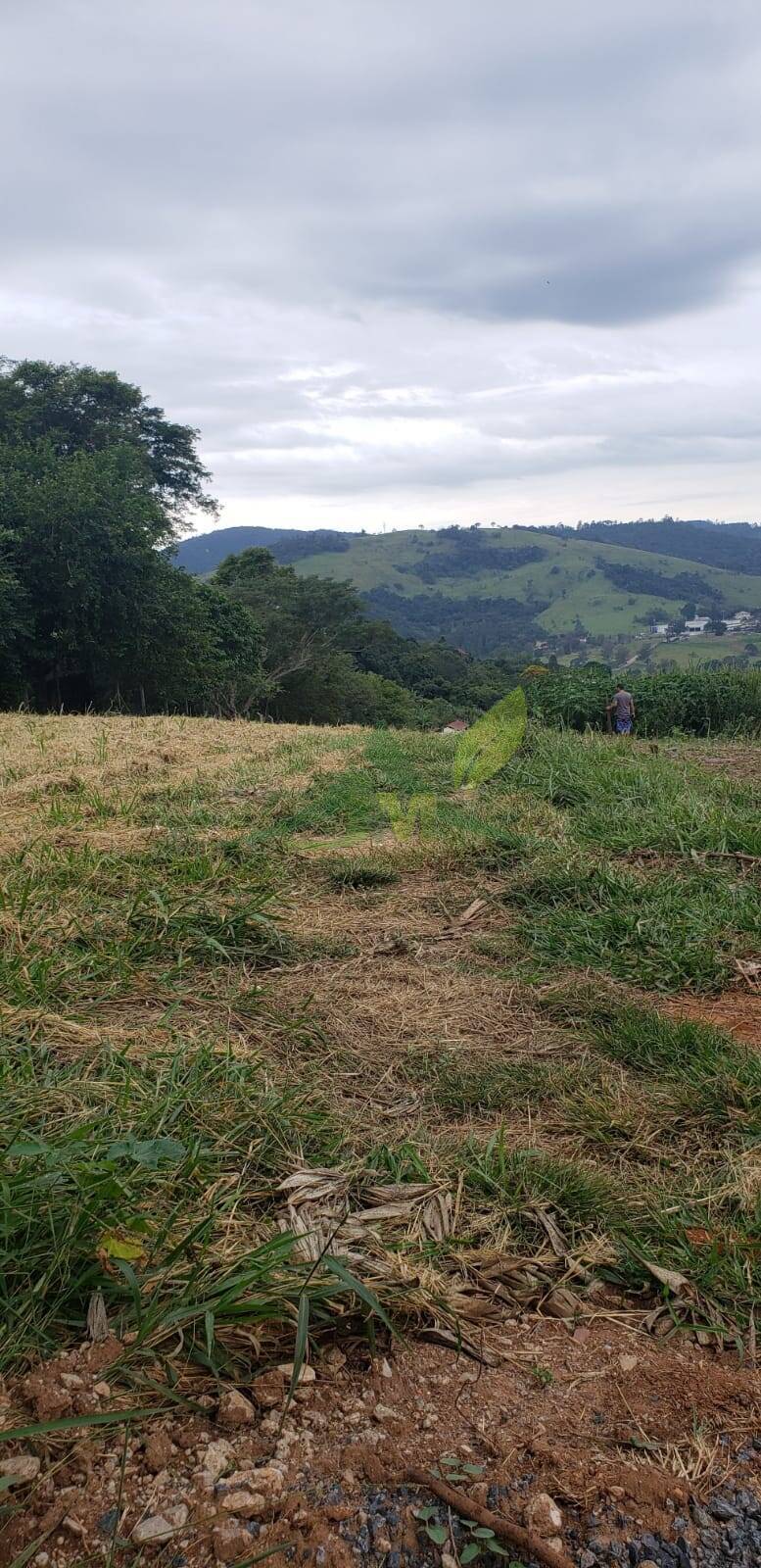 Terreno, 2000 m² - Foto 7