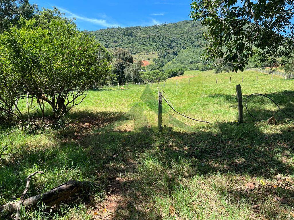 Sítio, 3 quartos, 6 hectares - Foto 1