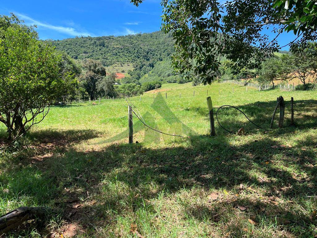 Sítio, 3 quartos, 6 hectares - Foto 11