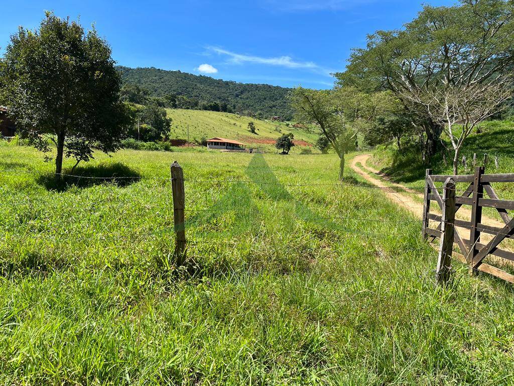 Sítio, 3 quartos, 6 hectares - Foto 12