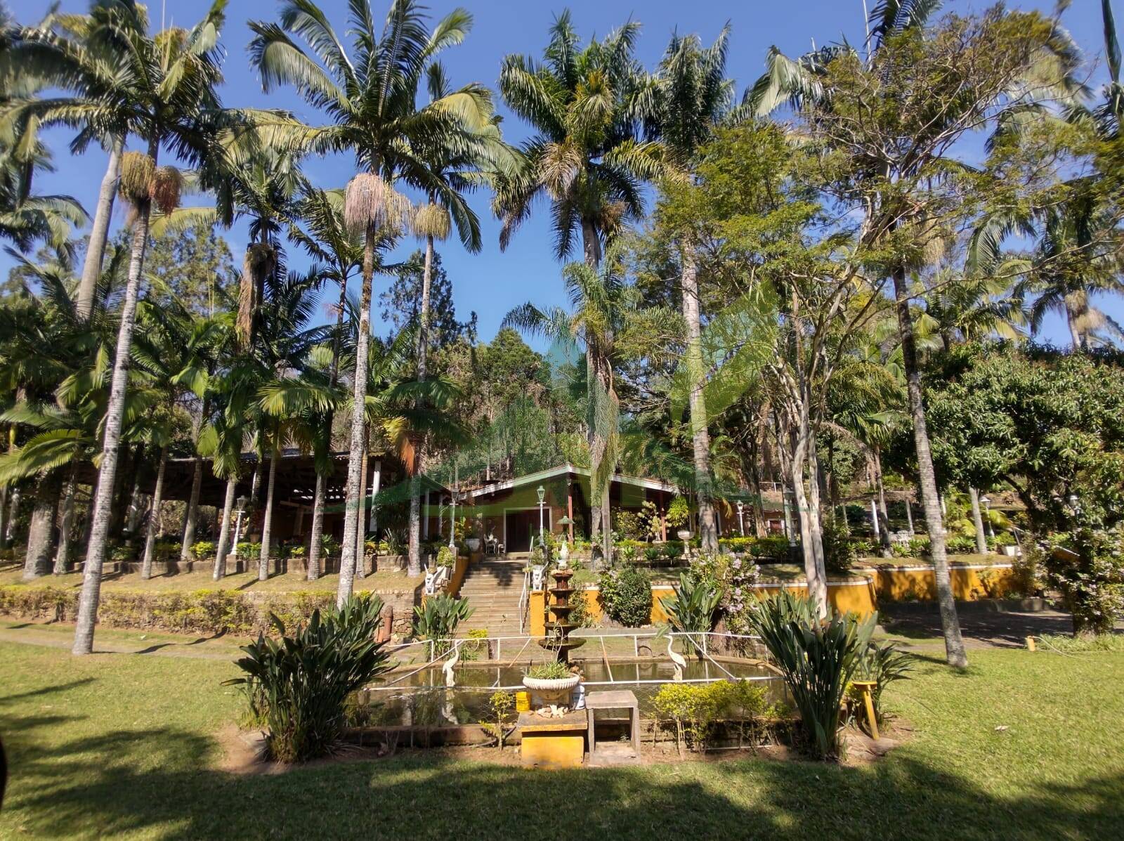 Sítio, 6 quartos, 24 hectares - Foto 1