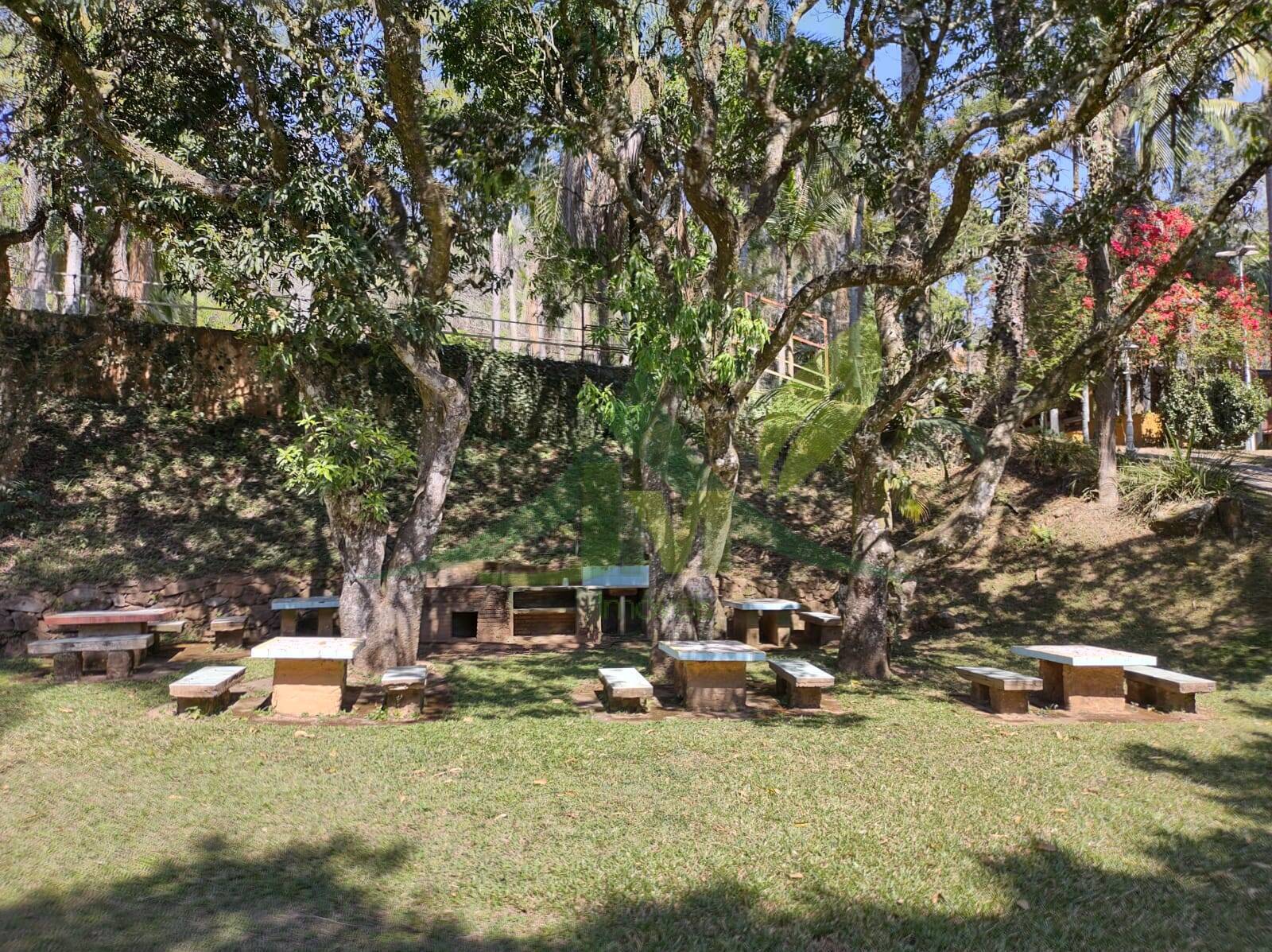 Sítio, 6 quartos, 24 hectares - Foto 6