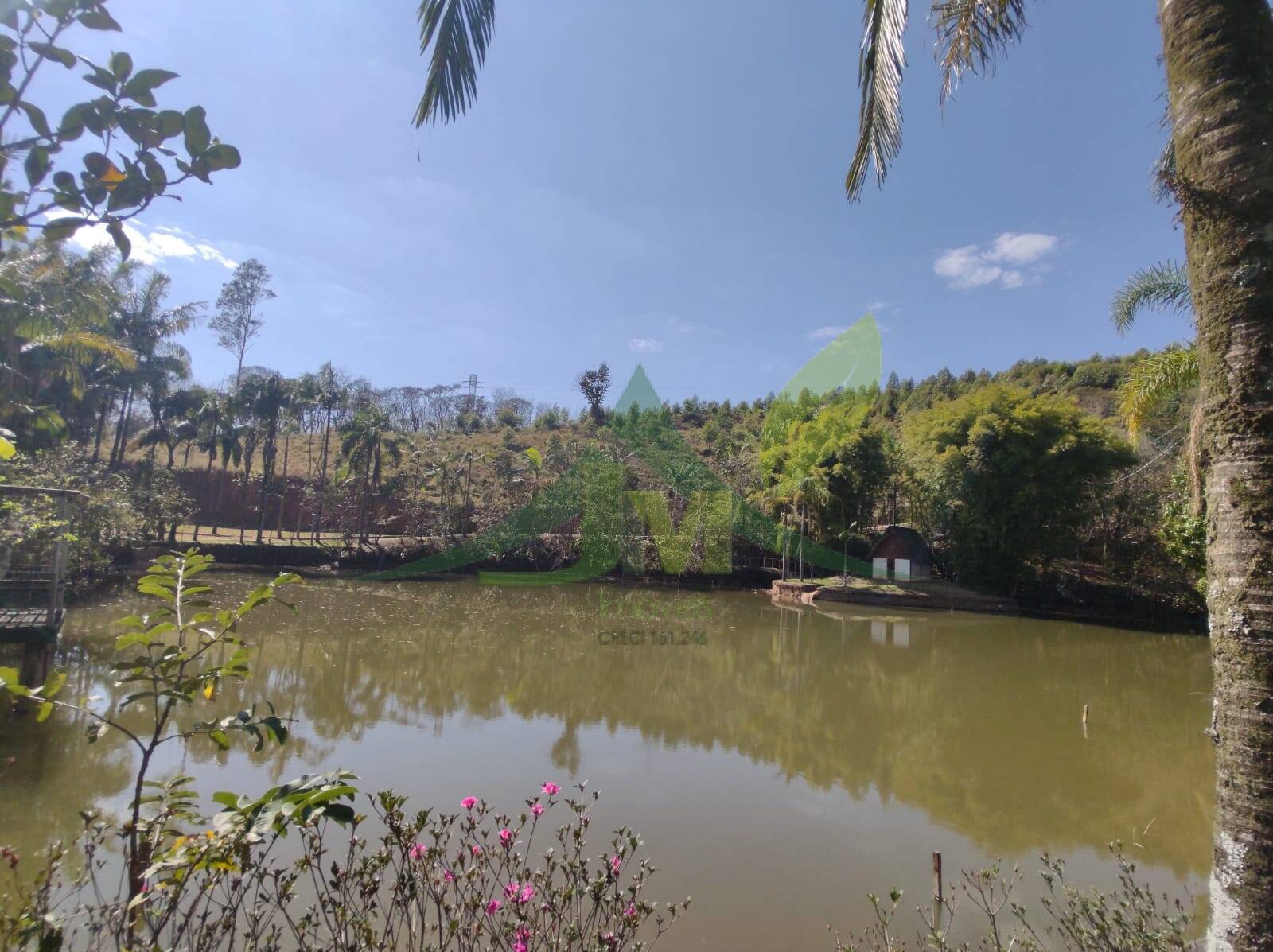 Sítio, 6 quartos, 24 hectares - Foto 10