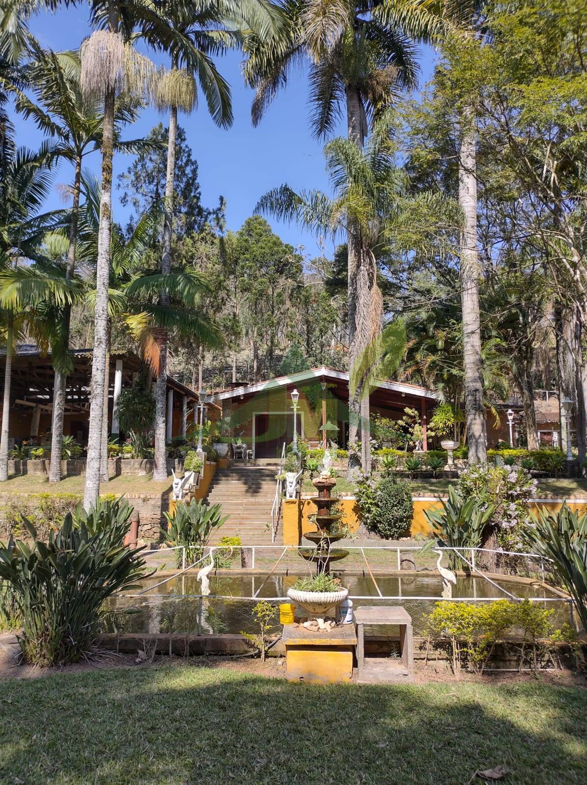 Sítio, 6 quartos, 24 hectares - Foto 13