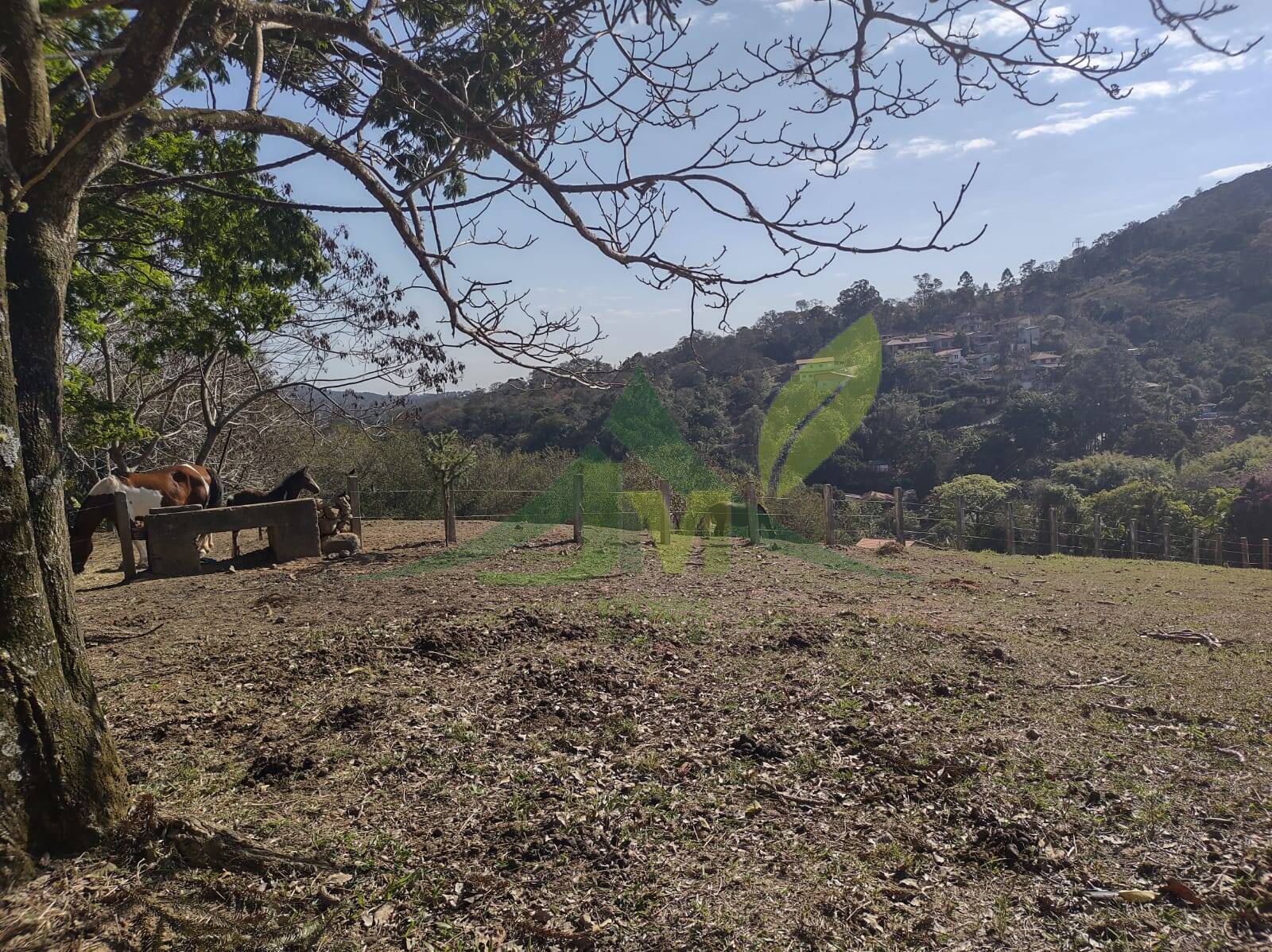 Sítio, 6 quartos, 24 hectares - Foto 17
