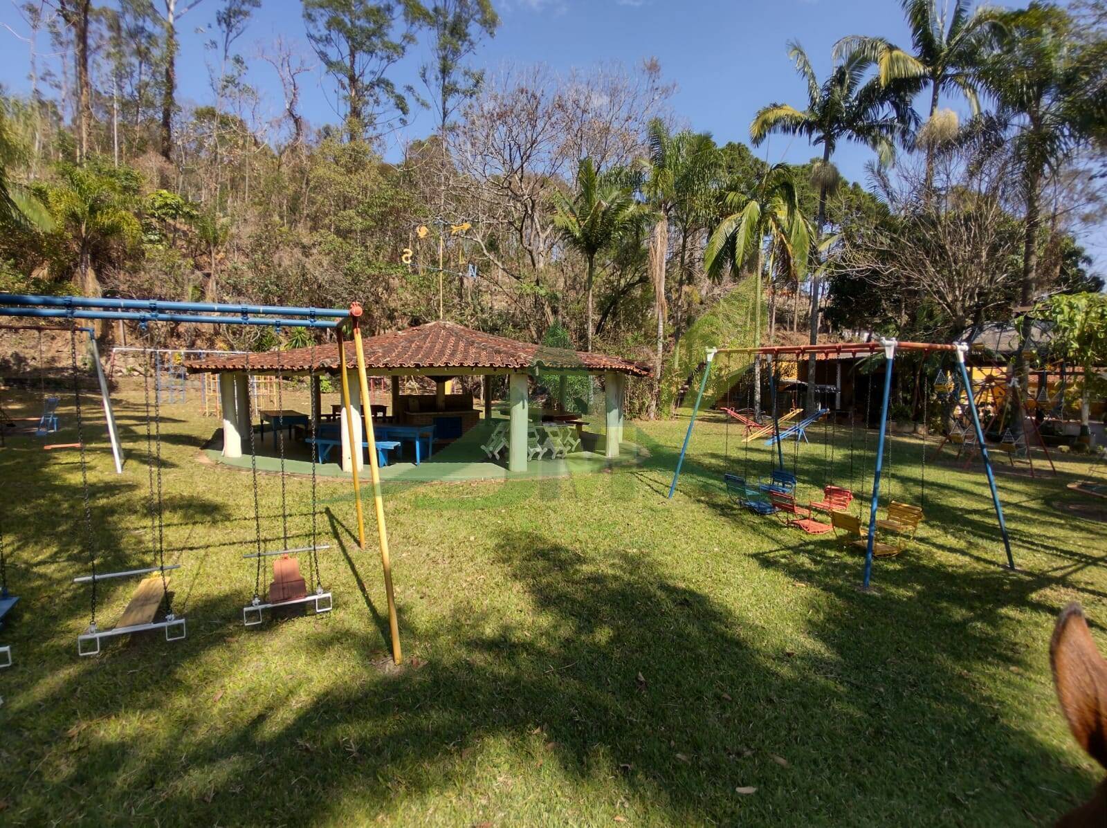 Sítio, 6 quartos, 24 hectares - Foto 23