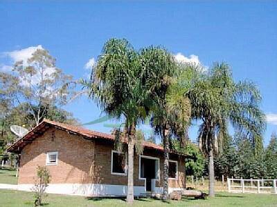 Sítio, 10 quartos, 5 hectares - Foto 18