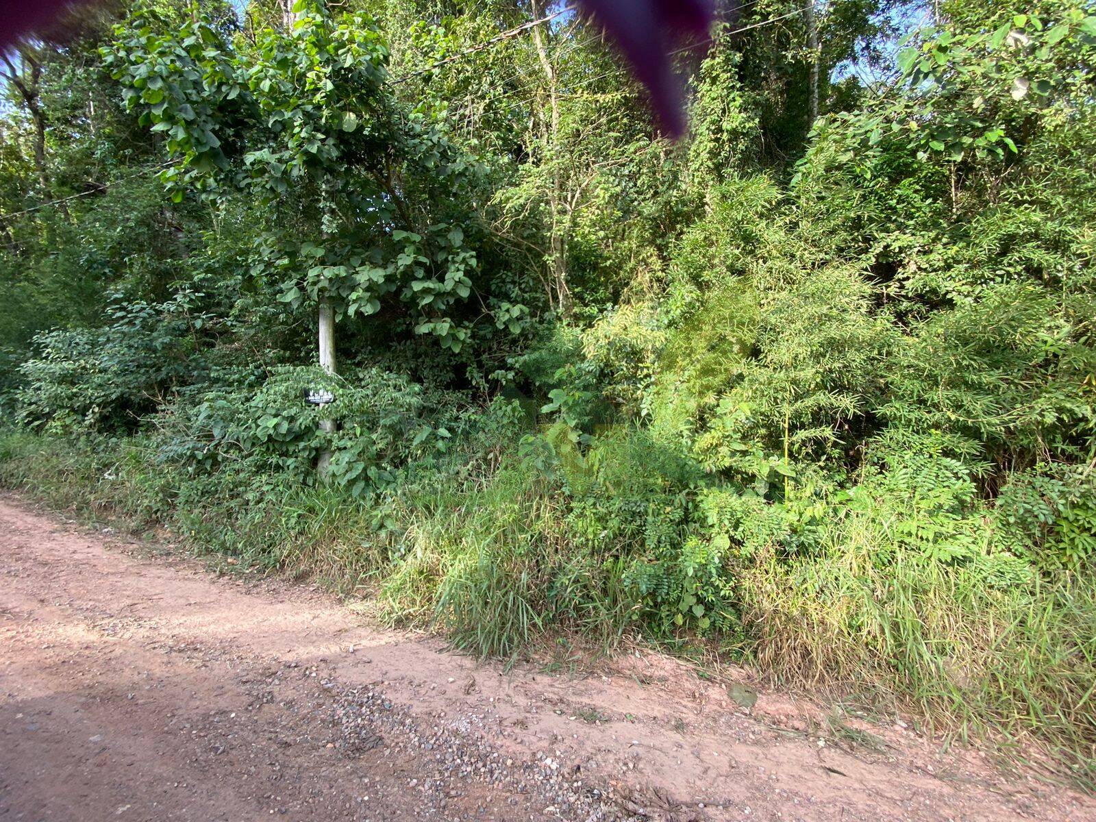 Terreno, 700 m² - Foto 2