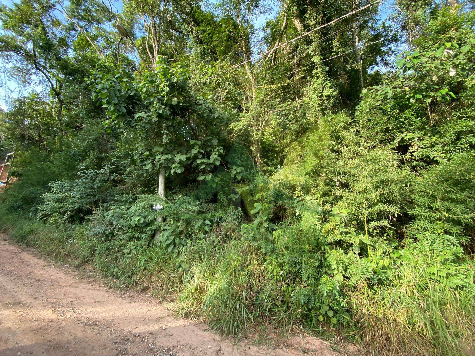 Terreno, 700 m² - Foto 4