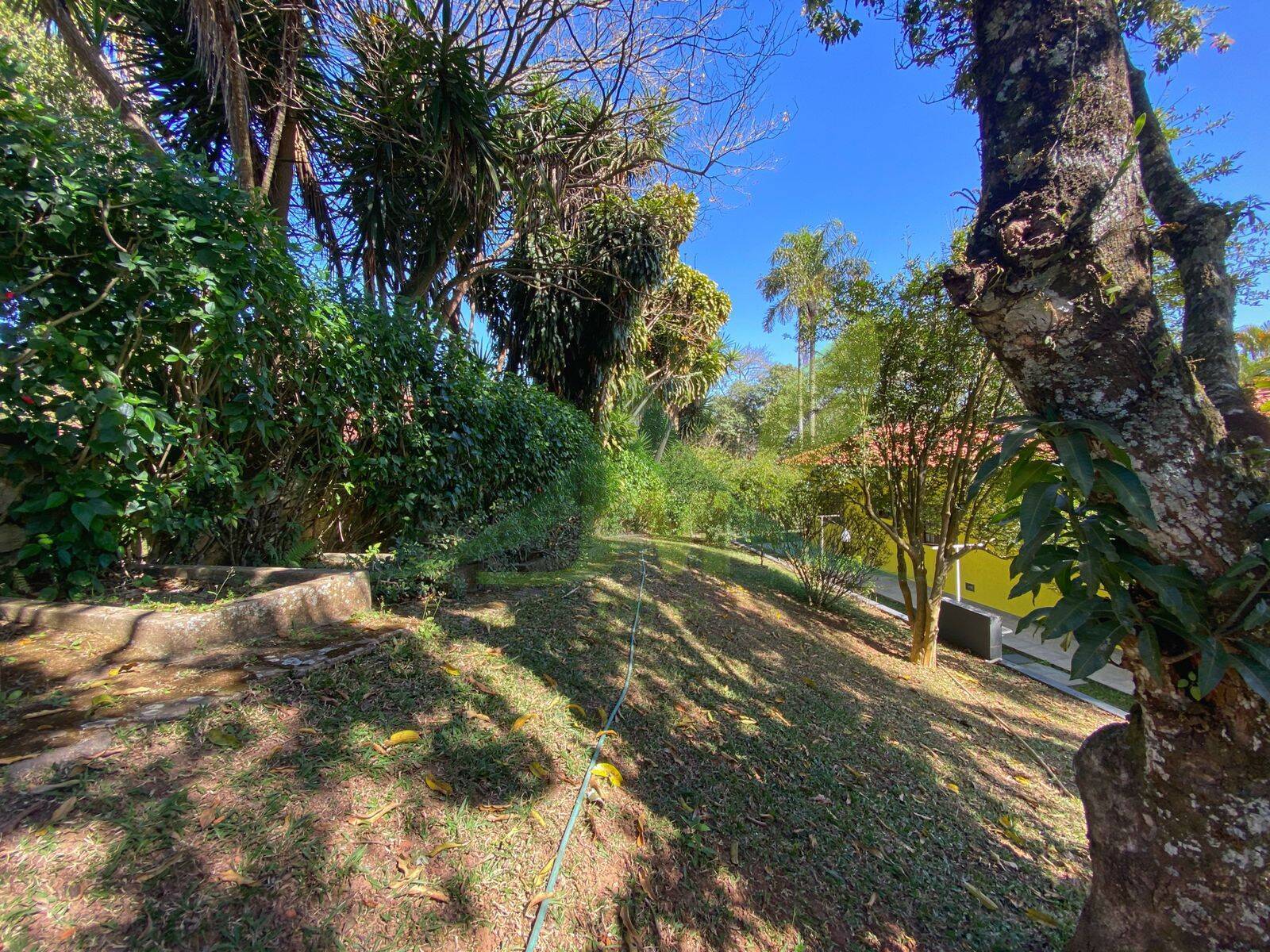 Sítio, 3 quartos, 5000 m² - Foto 14