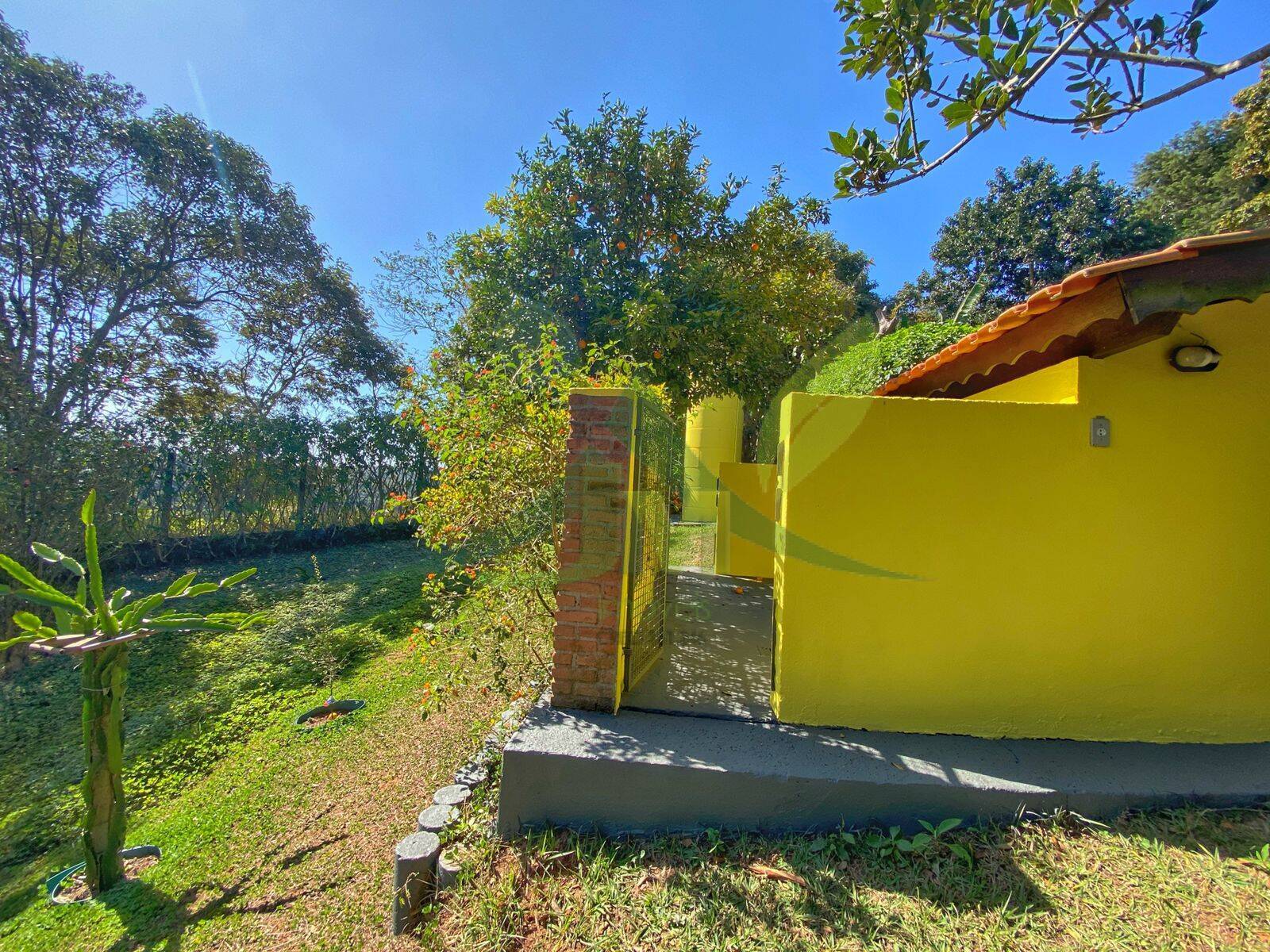 Sítio, 3 quartos, 5000 m² - Foto 16