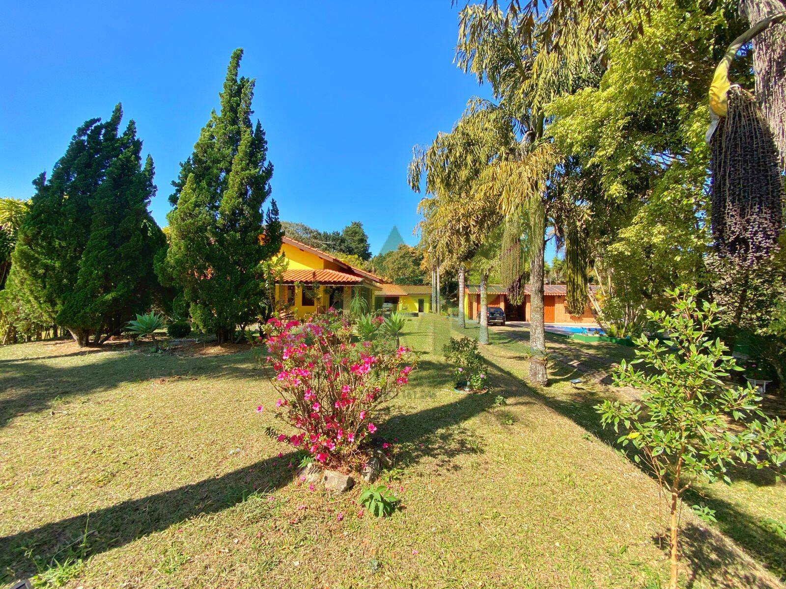 Sítio, 3 quartos, 5000 m² - Foto 37