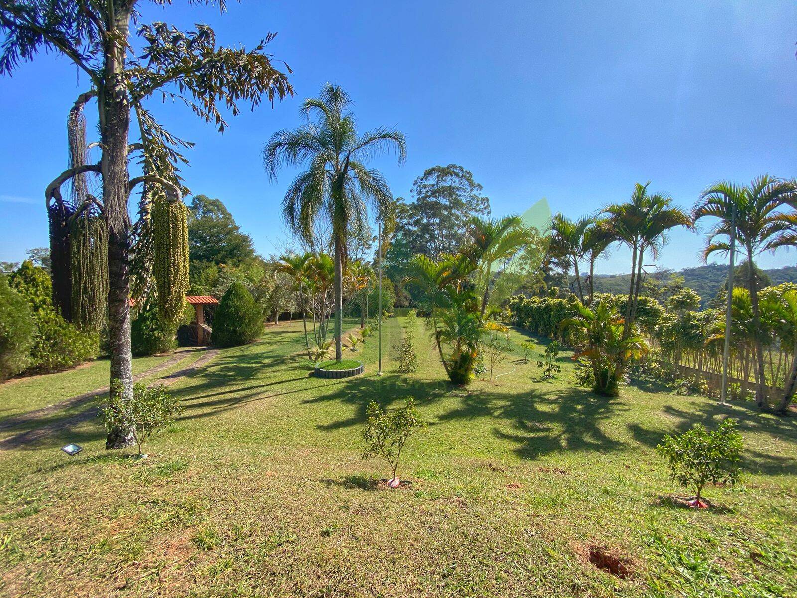 Sítio, 3 quartos, 5000 m² - Foto 36