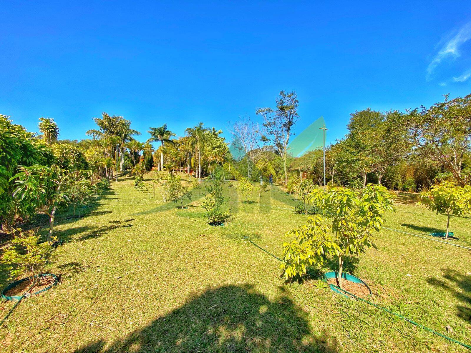 Sítio, 3 quartos, 5000 m² - Foto 38