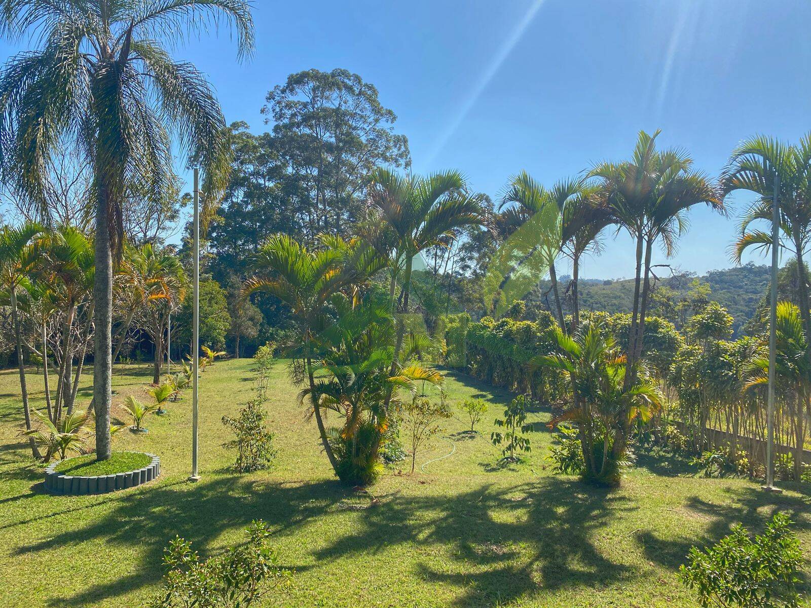 Sítio, 3 quartos, 5000 m² - Foto 39