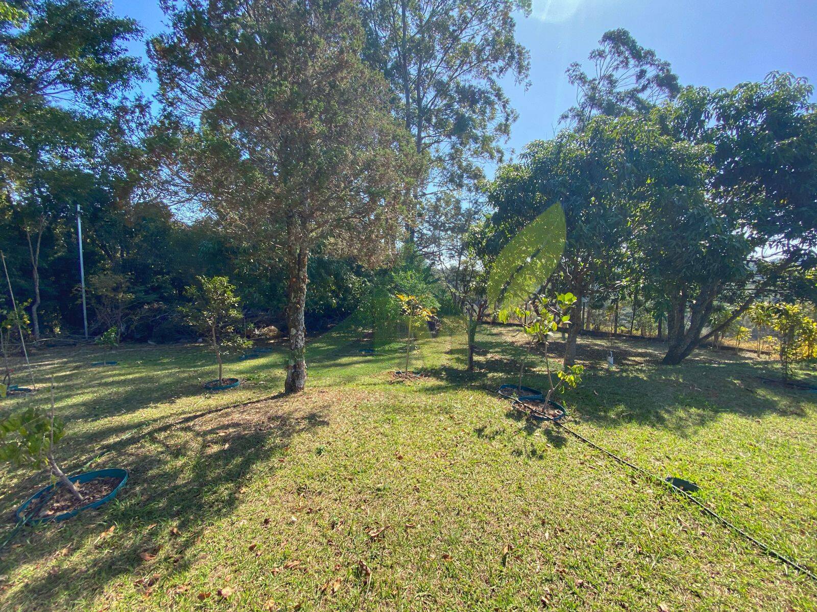 Sítio, 3 quartos, 5000 m² - Foto 40