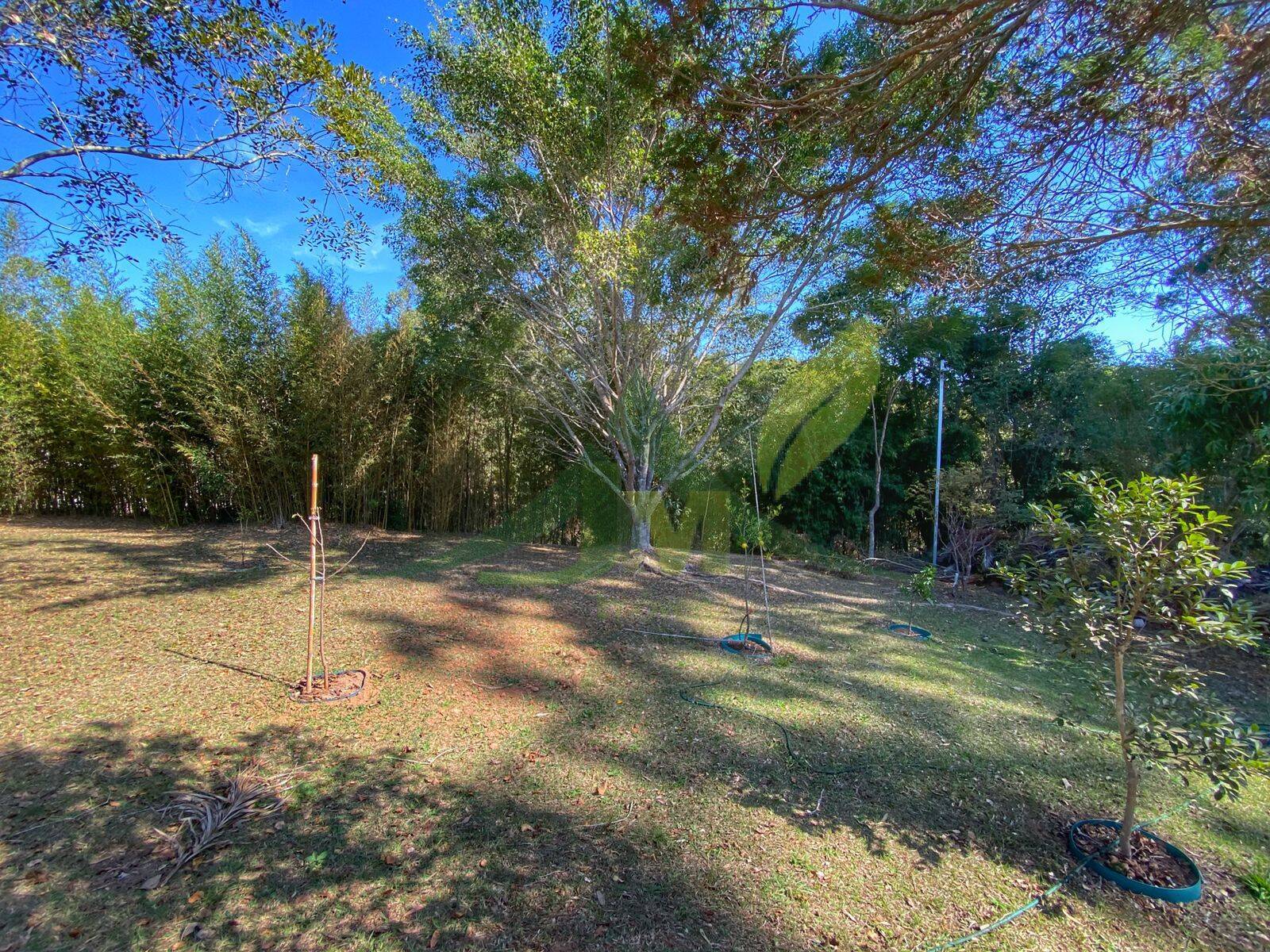 Sítio, 3 quartos, 5000 m² - Foto 42