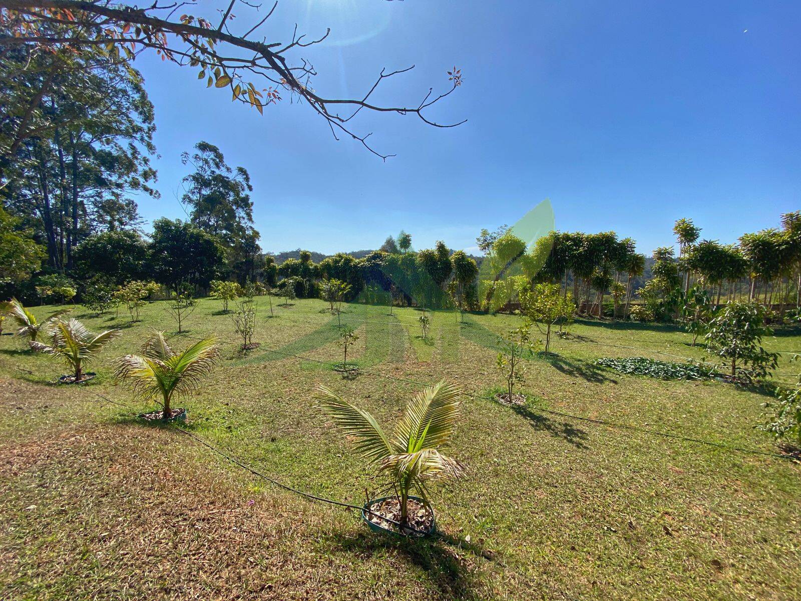 Sítio, 3 quartos, 5000 m² - Foto 41