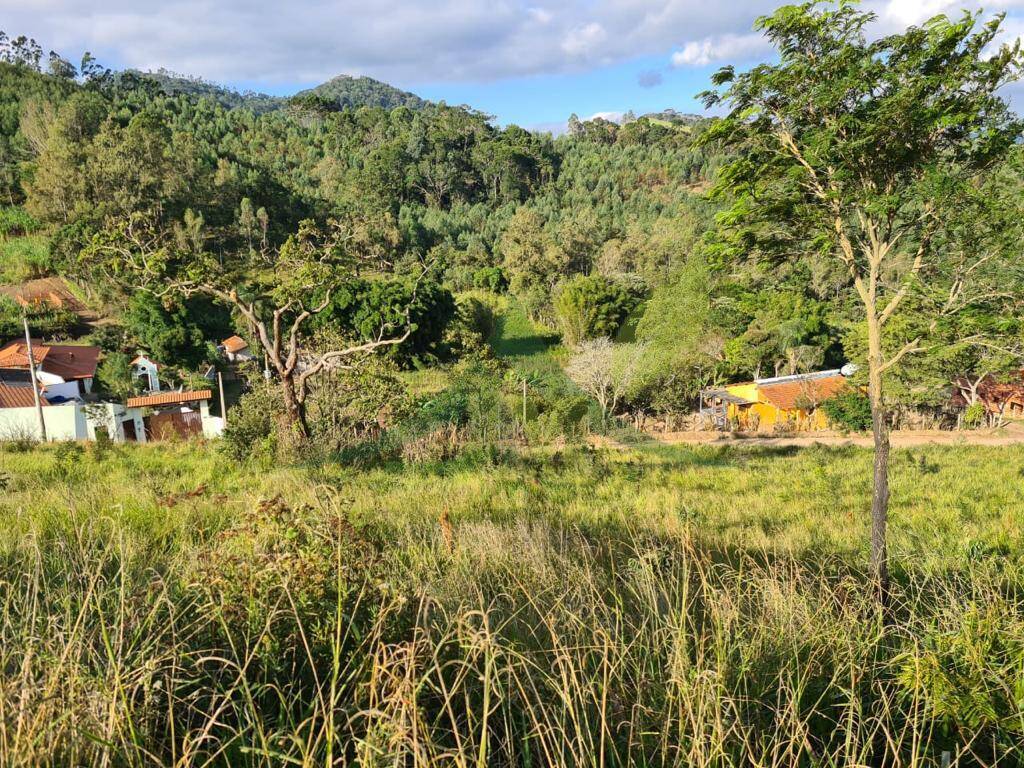 Terreno, 1000 m² - Foto 6
