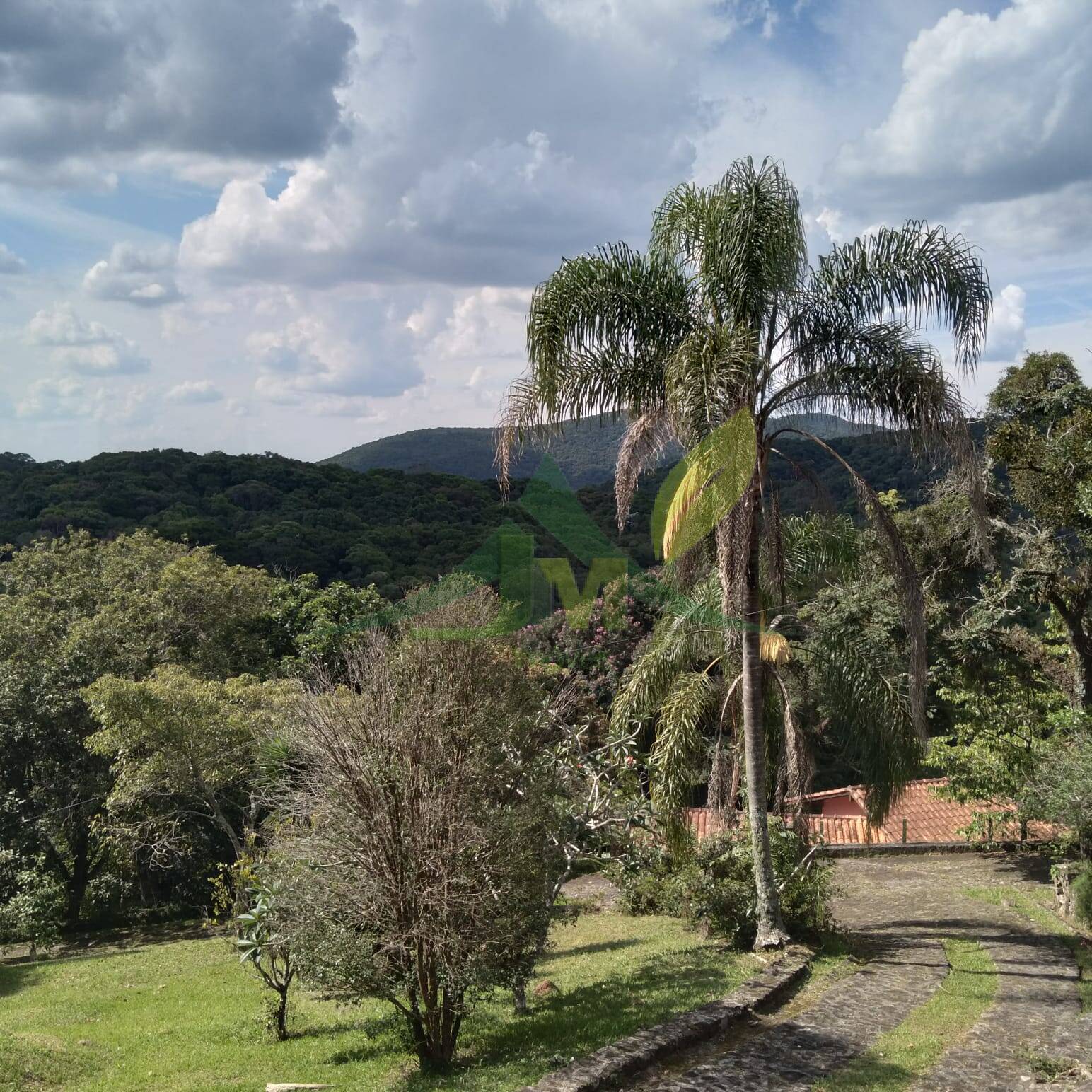 Sítio, 4 quartos, 4200 m² - Foto 3