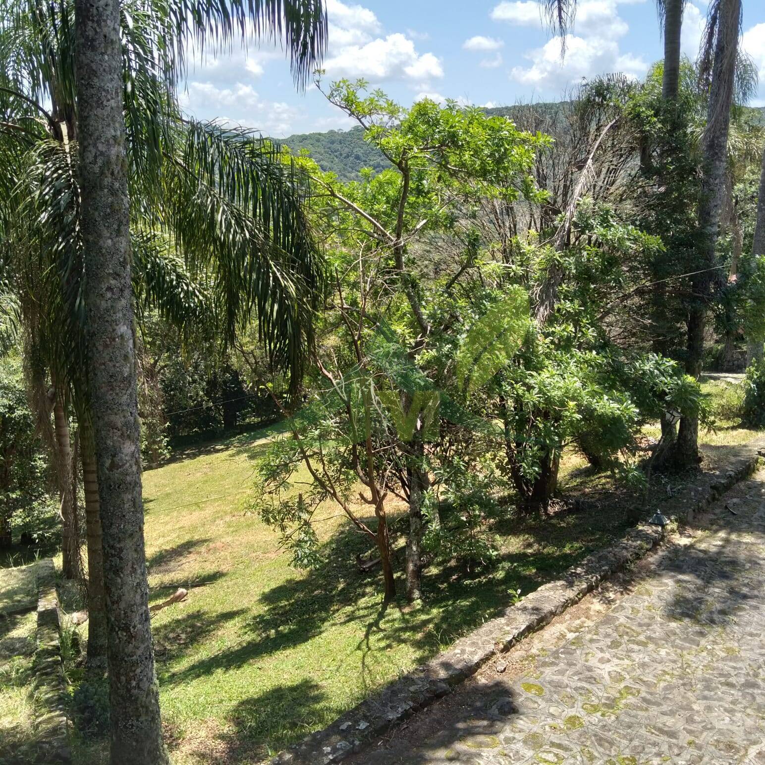 Sítio, 4 quartos, 4200 m² - Foto 29