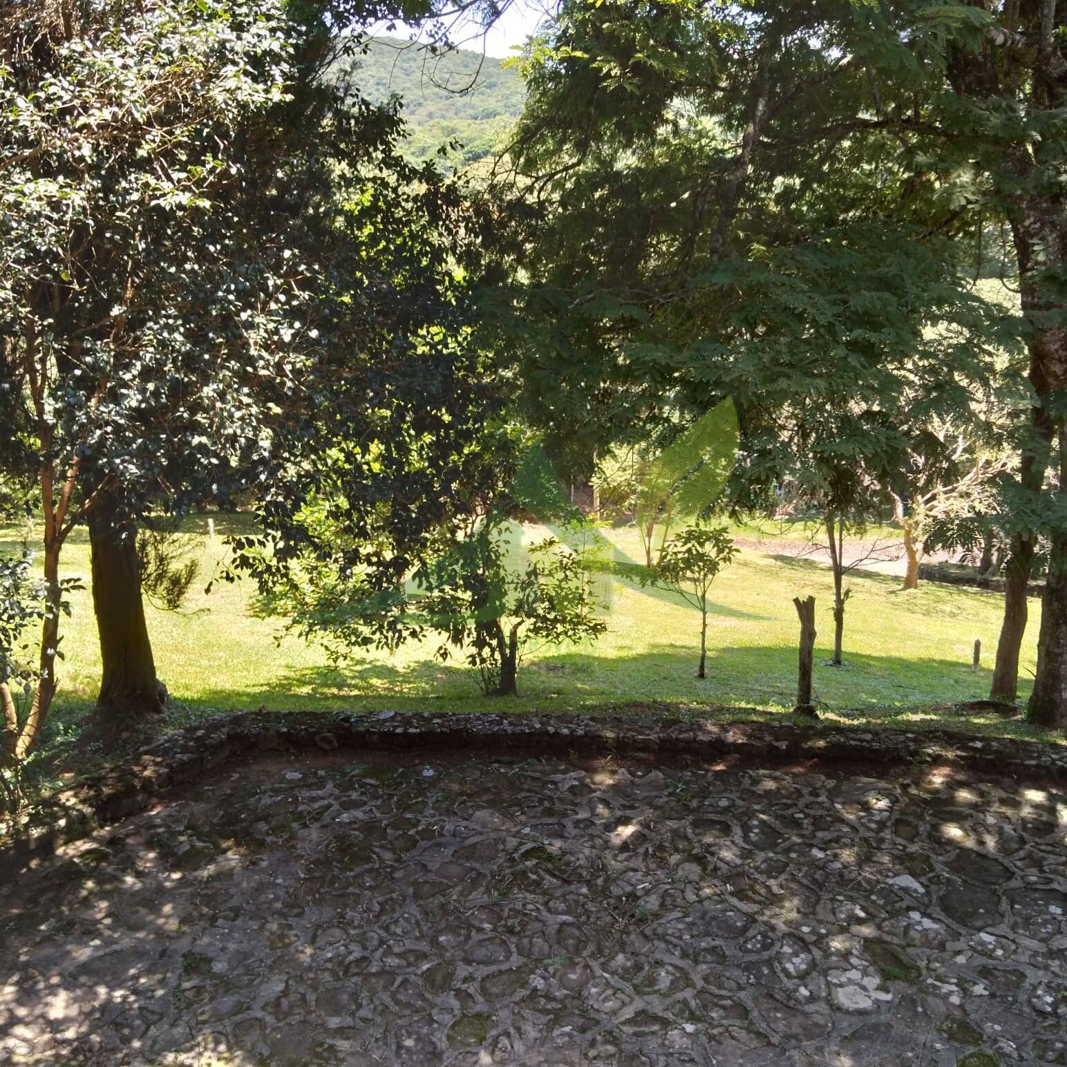 Sítio, 4 quartos, 4200 m² - Foto 33