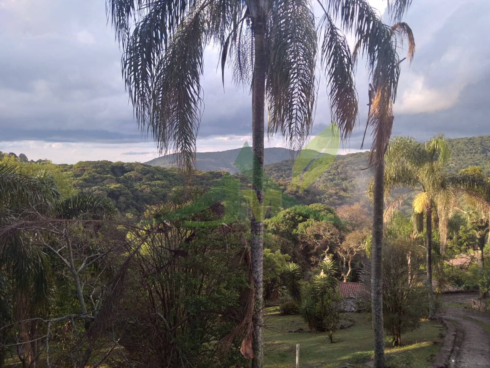 Sítio, 4 quartos, 4200 m² - Foto 35